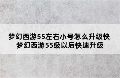 梦幻西游55左右小号怎么升级快 梦幻西游55级以后快速升级